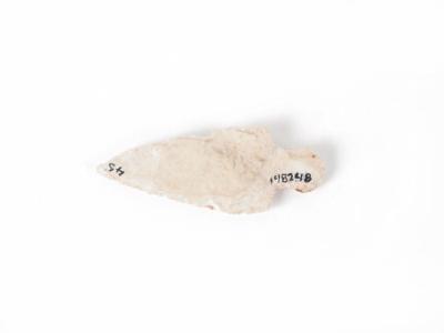 Point, Projectile, White Chert