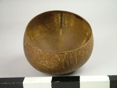 Cup, Coconut Shell