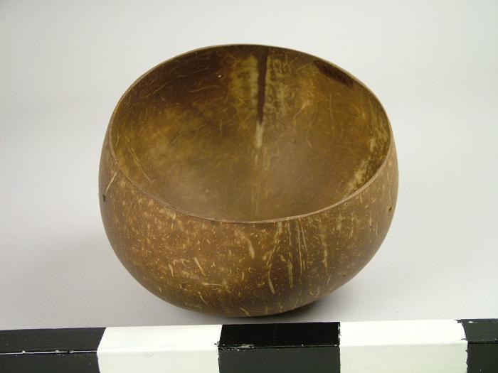 Cup, Coconut Shell