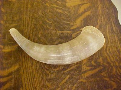 Bull Horn Bos Tarus
