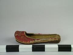 Shoe