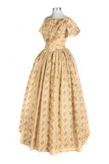 Dress and Sleeves