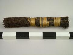 Brush, Scrub