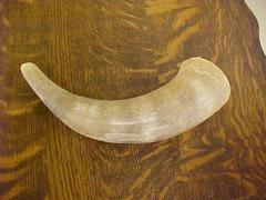 Bull Horn Bos Tarus