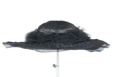 Picture Hat