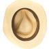 Panama Hat and Box