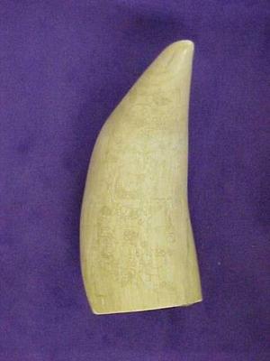 Scrimshaw Sperm Whale's Tooth
