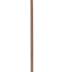 Campaign Cane