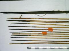 Bow (1) And Arrows (12)
