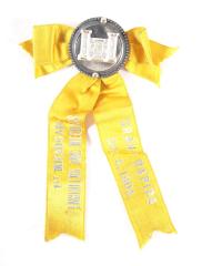 Ribbon Badge, 1st Michigan Engineers and Mechanics