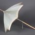 Parasol