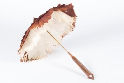 Parasol