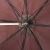 Carriage Parasol 