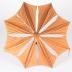 Parasol 