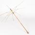Parasol Frame