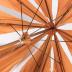 Parasol 