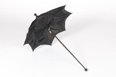 Wedding Carriage Parasol