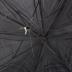 Parasol