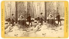 James A. Jenney's "In the Pineries" Stereoscopic View of Falling (instantaneous)