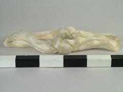 Silk, Raw