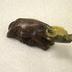 Figurine, Water Buffalo