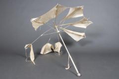 Parasol