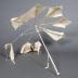 Parasol