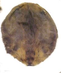 Beaver Pelt (animal Type Not Verified)