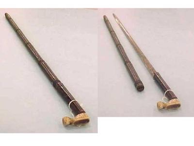 Cane Sword