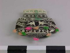 Money Bag