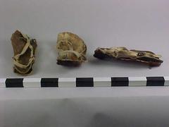 Sandals (3)