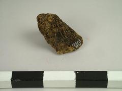Peat