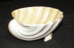 Neptune Shell Dish.  Two Legs, Made Of Small Shells.