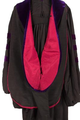 Academic Hood