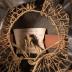 Military Helmet