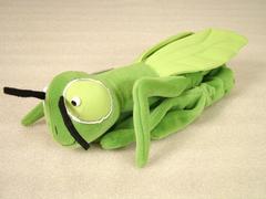 Glove Puppet, Praying Mantis