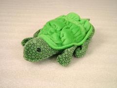 Glove Puppet, Turtle