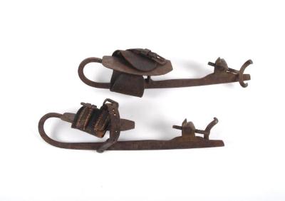 Skates, Ice (2)