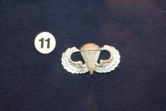 Insignia, Airborne Wings