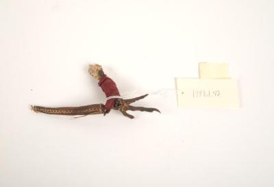 Game, Cock Foot With Knife Attached